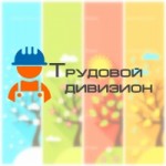 Честные отзывы о Трудовой Дивизион