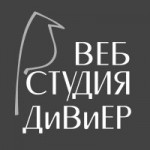 Честные отзывы о Веб студия ДиВиЕР