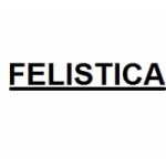 Честные отзывы о Компания Felistica