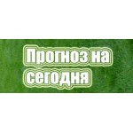 Честные отзывы о Юрий Анисимов