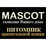 Честные отзывы о Питомник ориентальной кошки Mascot