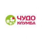 Честные отзывы о Чудо клумба интернет-магазин