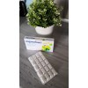 Пробиотик Polpharma Нормобакт JUNIOR