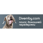 Честные отзывы о Divemby - сервис по передержке питомцев в домашних условиях
