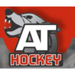 Честные отзывы о AT Hockey