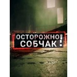 Честные отзывы о Шоу: Осторожно, Собчак!